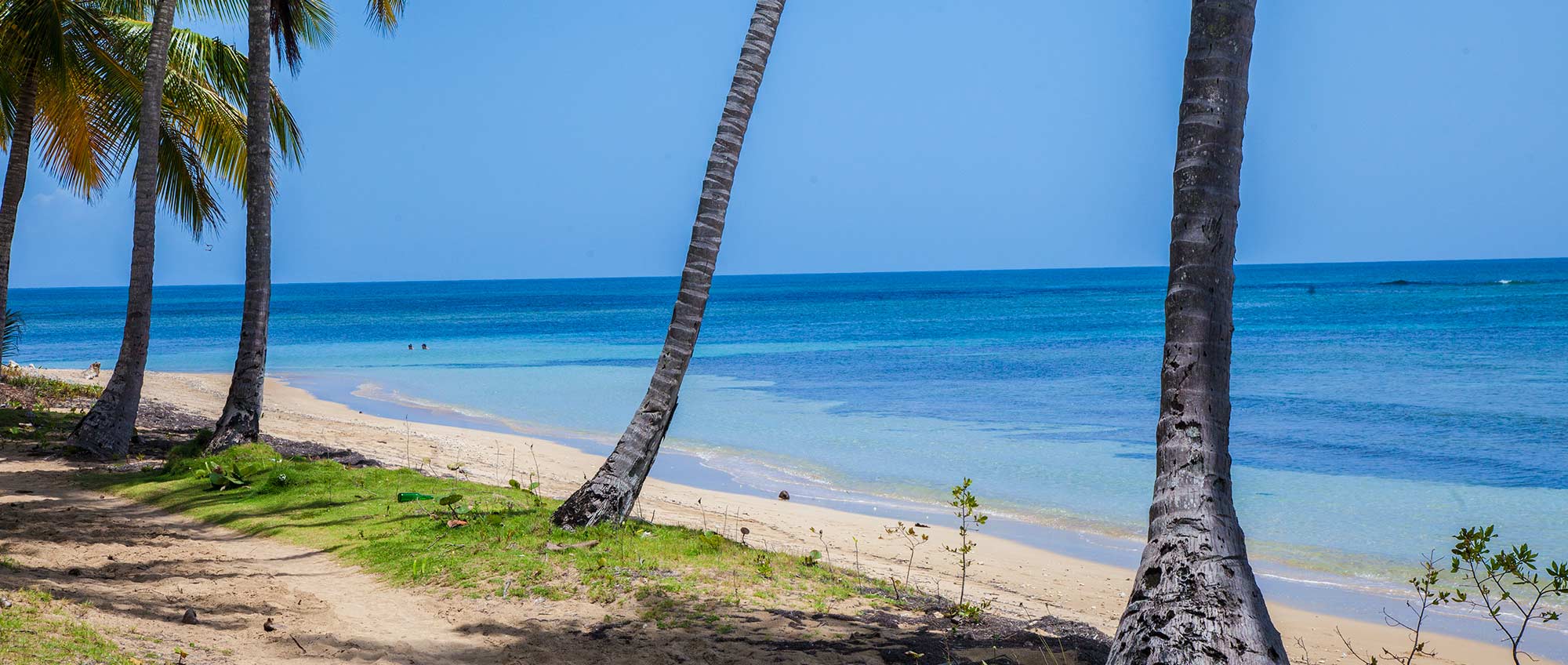 Playa Bonita Las Terrenas Samaná - AIC Dominicana